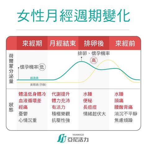 受孕時間|女生計算機｜生理期週期計算，了解排卵期、月經期、危險期、安 